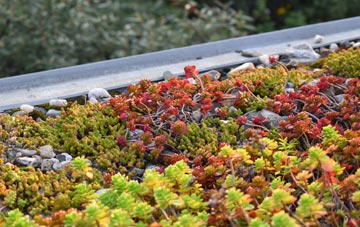 the cost of Springwells green roof installation