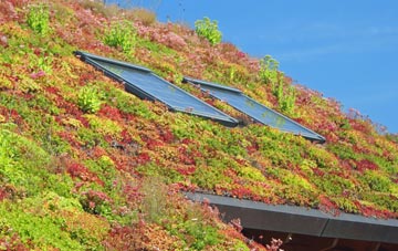 Springwells living roof systems