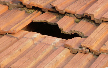 roof repair Springwells, Dumfries And Galloway