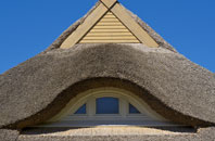 Springwells thatch roofing